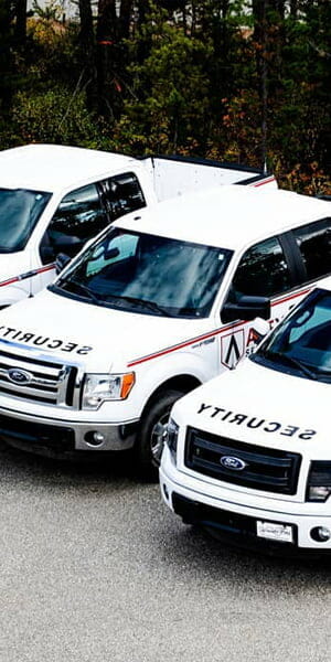 Windsor Ford Small Business Vehicles