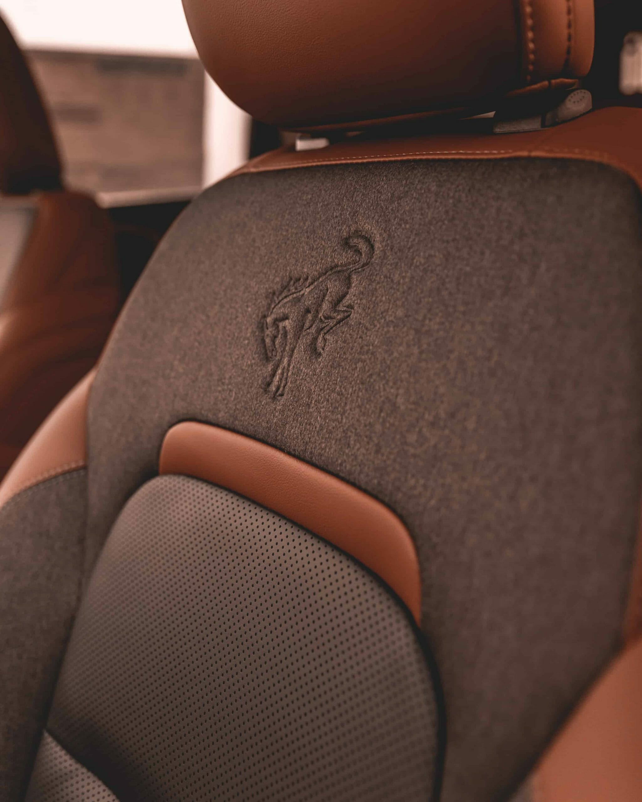 What Does GOAT Stand For On The Ford Bronco Windsor ford