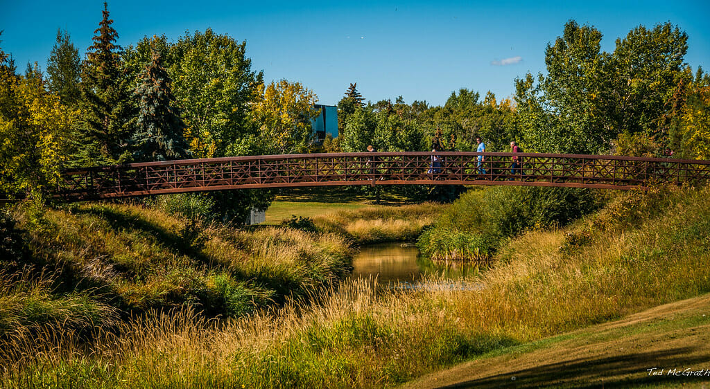 Whats happening in Grande Prairie in February