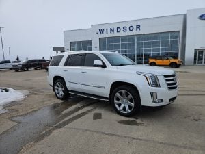 2017 Cadillac Escalade Luxury